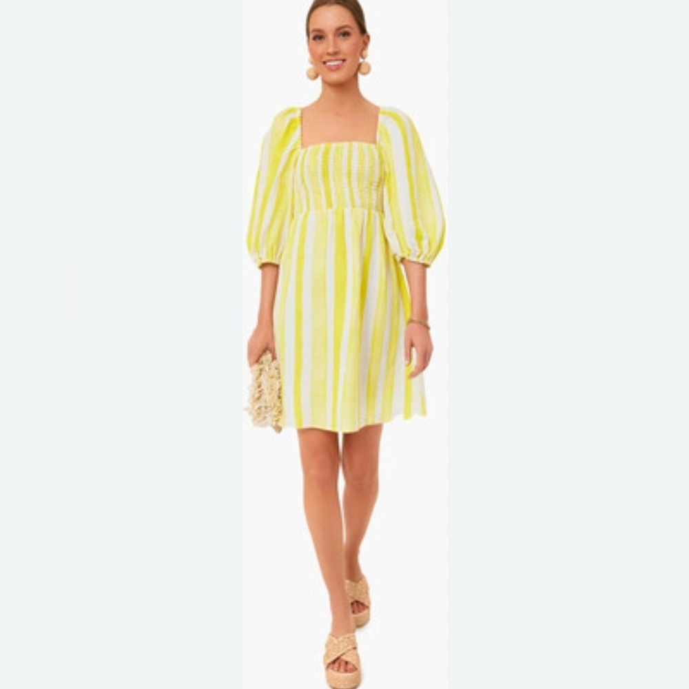 Tuckernuck | New Annie cabana stripe mini dress Women’s size L smocked Linen NWT - Picture 2 of 9